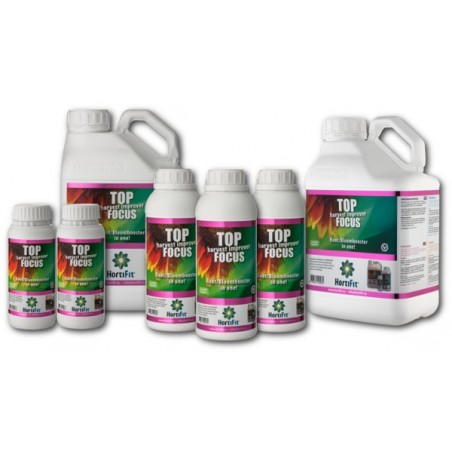 TOP FOCUS HORTIFIT