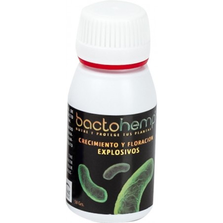 BACTOHEMP