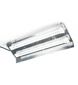 LUMINARIA 2 X 55 W TWIN (60...