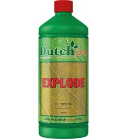 EXPLODE DUTCHPRO