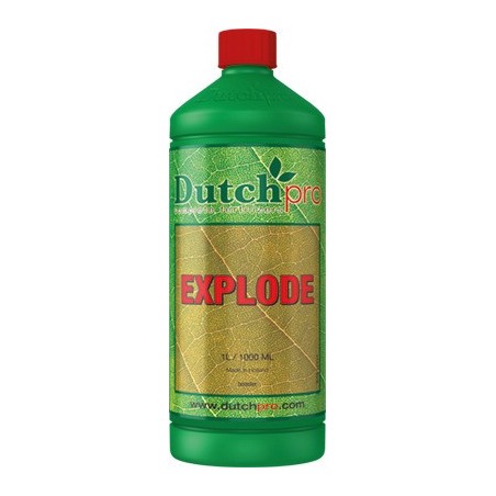 EXPLODE DUTCHPRO