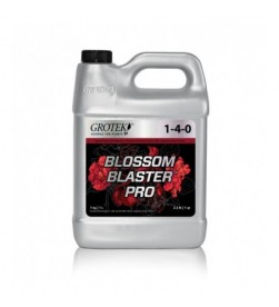 BLOSSOM BLASTER PRO GROTEK