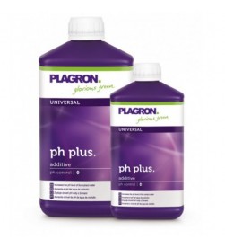 PH + (25 %)