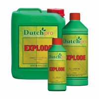 dutchpro