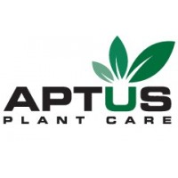 aptus